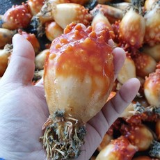 통영 제철 자연산 돌멍게 냉동 손질 깐멍게, 1박스, 돌멍게(자연산) 1kg 5~8미