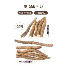 [5kg이상 주문시 마즙증정] 안동마 장마 산지직송 2.5.9kg