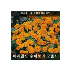 수레국화식용