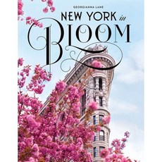 New York in Bloom, Harry N. Abrams - 가격 변동 추적 그래프 - 역대가