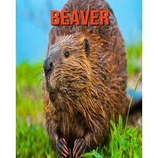 Beaver: Incredible Pictures and Fun Facts about Beaver Paperback, Independently Published, English, 9798693977907