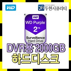 Western Digital CCTV용 저장장치 HDD, 2TB