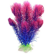 여수아쿠아리움식당