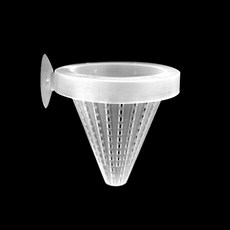 인디언복어 TOP01