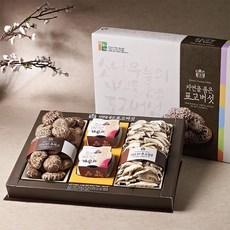 강원도 설악산 혼합 버섯 세트 4호 흑화고 표고버섯가루 표고절편, 1개