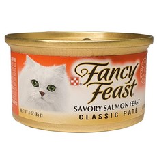 팬시피스트주식캔