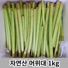 국산 자연산 머위대 1kg 국내산머위대 머우대 당일채취 당일수확 머위대줄기 머위대나물 모우 머구 머윗대 데친나물 머우줄기 머구대 산지직송 농장직송, 1개