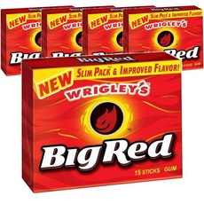 Big Red 빅 레드 시나몬 츄잉껌, 5개, 50g