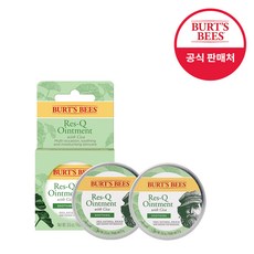 버츠비시카