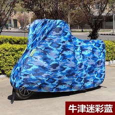 옥스포드거북차