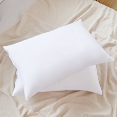 아띠랑스 세탁이편한 구름베개솜 50x70 2P, 단품