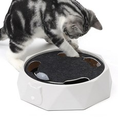 혼자움직이는장난감