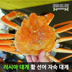 레드킹크랩1kg