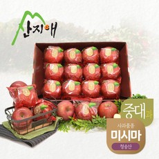 산지애 [2023년산] 씻어나온 꿀사과 3kg 1box (중대과) / 청송산 미시마 당도선별, 1개