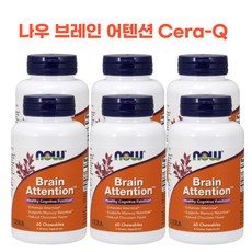 나우 브레인 어텐션 Cera-Q 60츄어블 X 6개