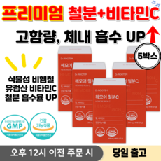 철분제 비타민C 여성빈혈철분제 여성 철분제 임산부 철분제 철분영양제 철분 프리미엄 임산부영양제, 5박스, 90정