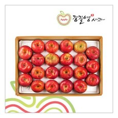 [장길영사과] 사과 알뜰 중소과 10kg(33~46과), 없음, 상세설명 참조
