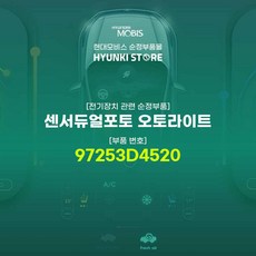 오토라이트배선