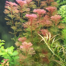 ad8a59af9906ab62f414bd7b8c06f0c2703be2388c197d37d89827c8d7cb.jpg