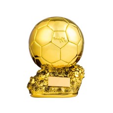 월드컵 우승 축구 발롱도르 기념 트로피, 21cm, 21cm