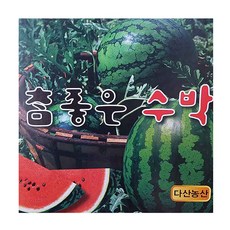 하우스 노지수박 6kg내외 고당도 수박, 1개
