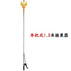 청도복숭아따기체험