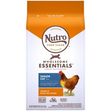 뉴트로캣시니어