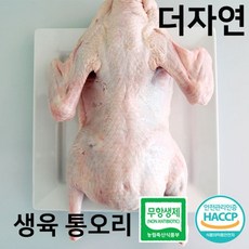 달수생오리