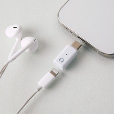 라이트닝 8핀 to usb c 타입 젠...