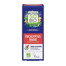 유칼립투스라디아타오일