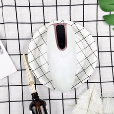 가정용레이저제모기브라운