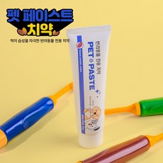 반려동물 전용 펫페이스트 치약/펫브러시 칫솔 교체형2개 택1, 펫브러시 칫솔 교체형 2개, 1개