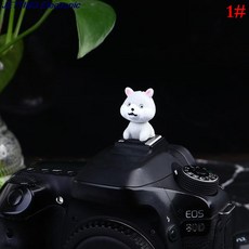 렌즈캡홀더토끼