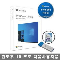 마이크로소프트 윈도우10 홈 프로