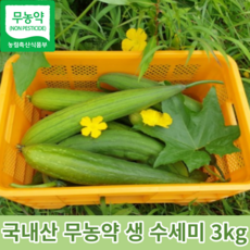 수세미열매