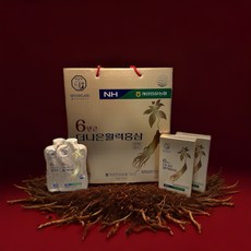 6년근 더나은 활력홍삼 진액골드, 24개, 40ml