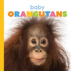 Baby Orangutans Paperback, Creative Paperbacks