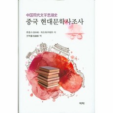 중국 현대 문학사조사, 상품명