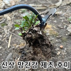 추천9 막삽