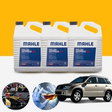 그랜드비타라 말레 롱라이프 원액 부동액 4L(레드) PZR-014 cs28001, 1개, 4L
