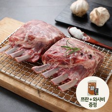 후레쉬램