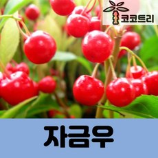 2fcef3f974f1dcaff48d3125c748a24f8c4a3b74313321d0c12a670c1600.jpg