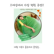 [쓸데없는선물] 거북이쿠션 거북이인형