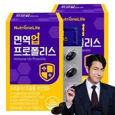 면역력높이는영양제