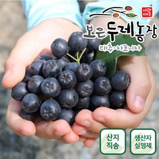 보은두레농장 2024 아로니아생과 3kg 5kg 10kg, 1박스