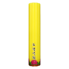 캔들자격증