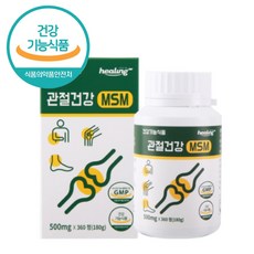골반뼈