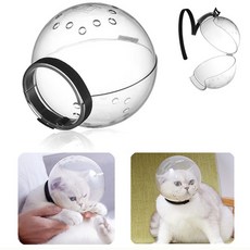 반려동물게이트볼