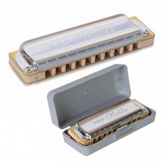 닥마제이든10홀