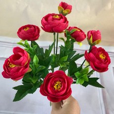 e886217d84ed8de4298d2de41e0184128749248d68d70bfeb63918e3ea73.jpg